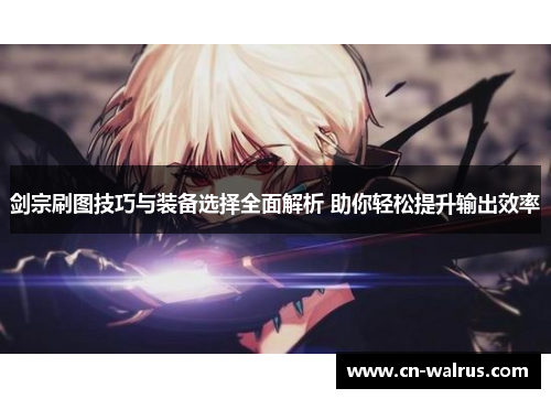 剑宗刷图技巧与装备选择全面解析 助你轻松提升输出效率